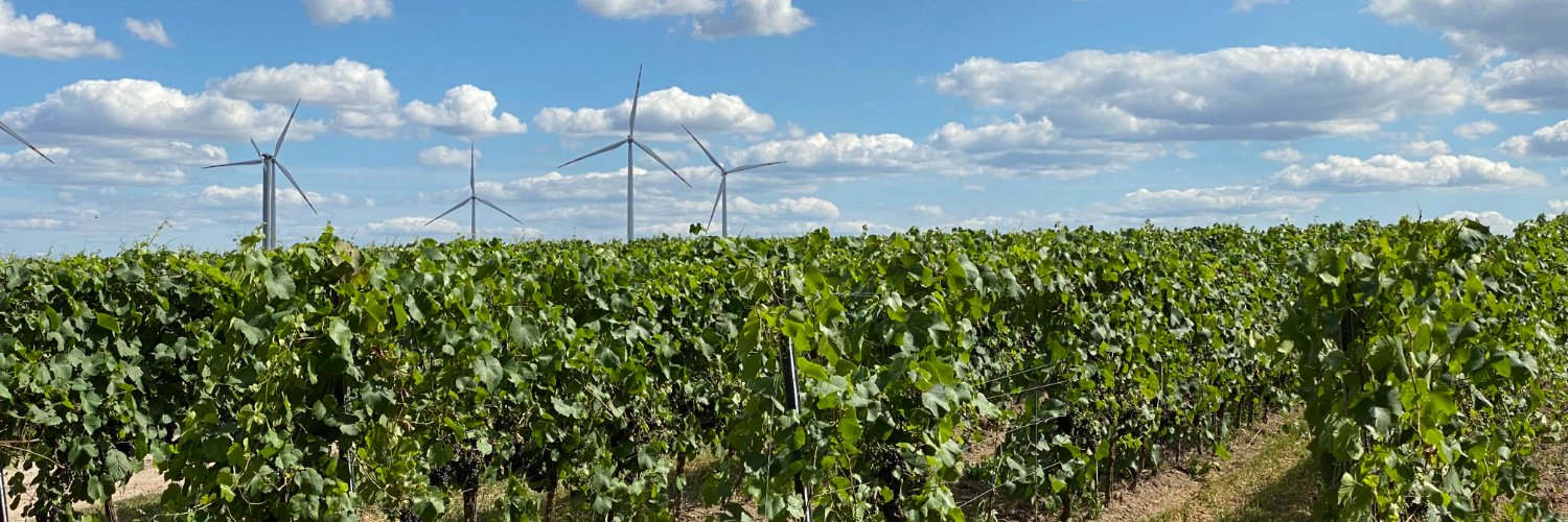 Wojciech Roszkowski banner