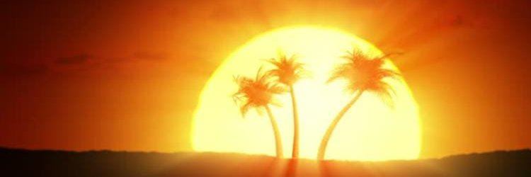 GreylabelFX77's profile banner image