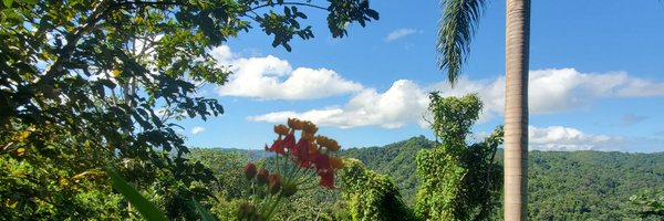 zorimarvilella Profile Banner