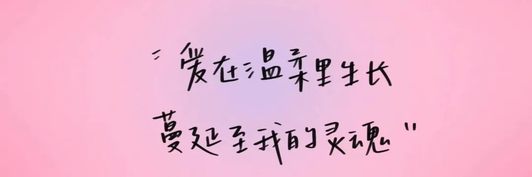 肥兔 banner