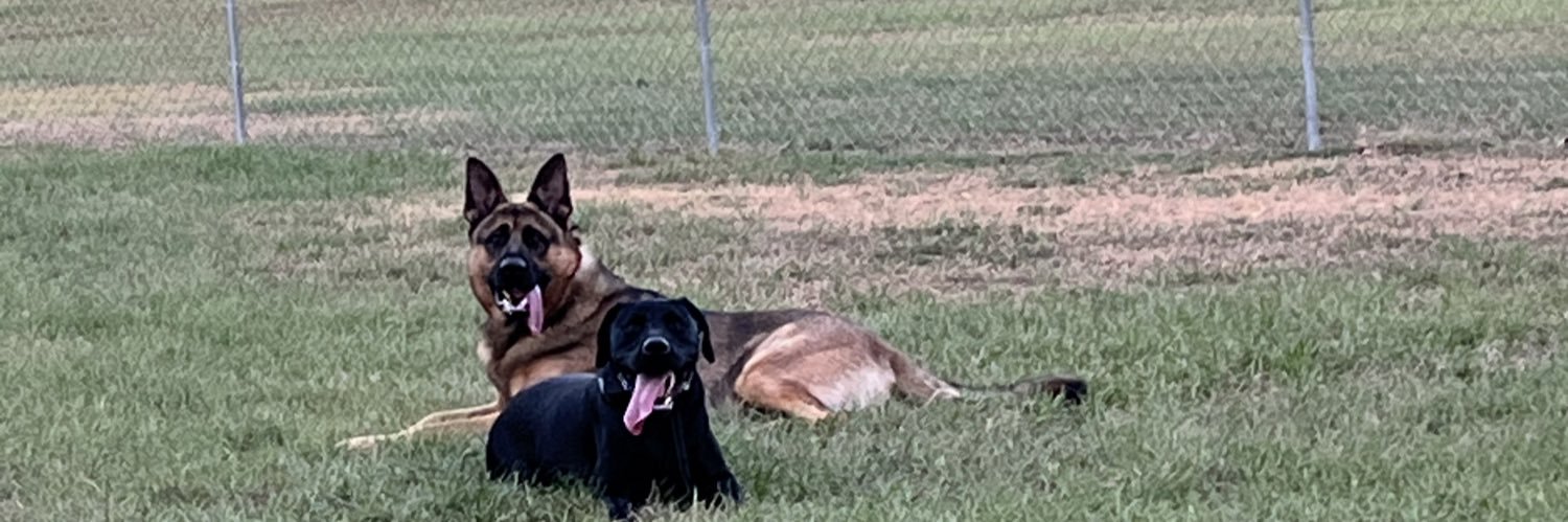cassroth26's profile banner image