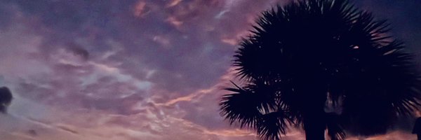 ETheelPhD Profile Banner