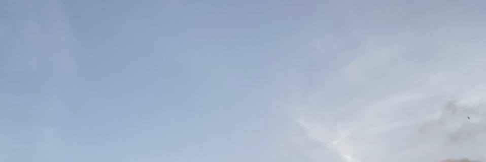 Lauravlvl's profile banner image