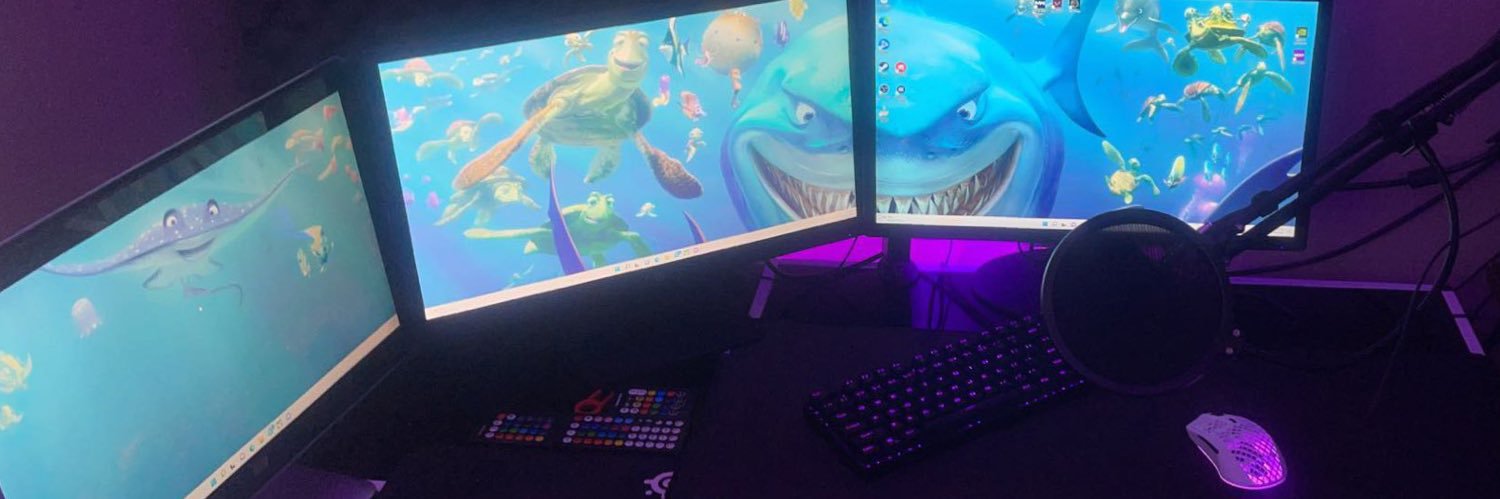 eusless1s's profile banner image