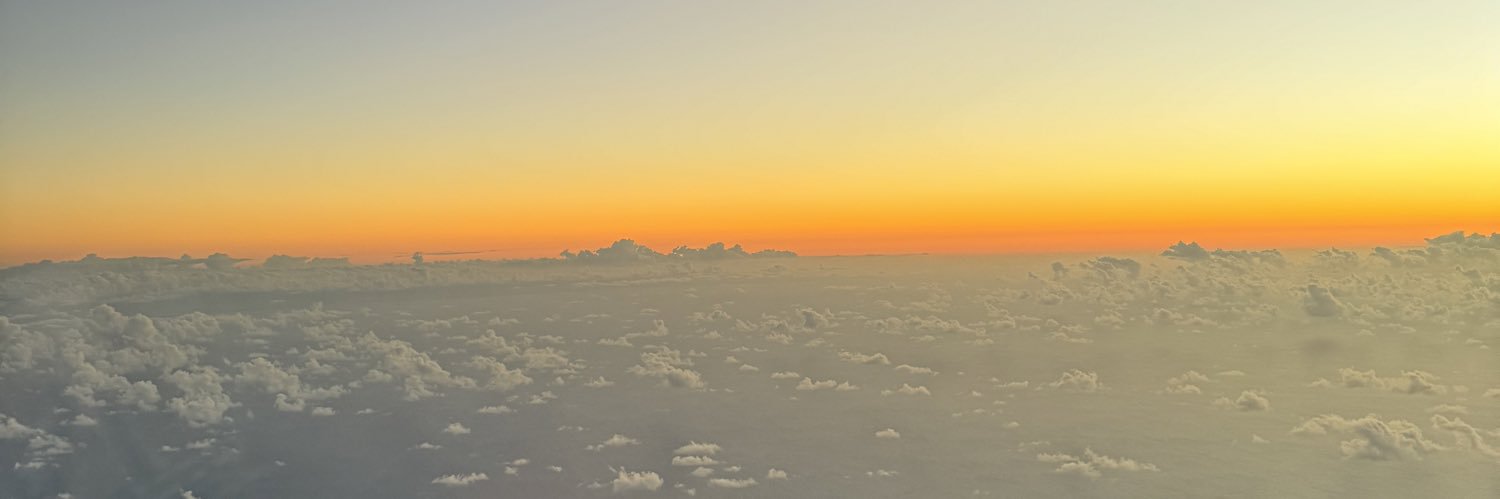 Alexandra I. López Chaim banner