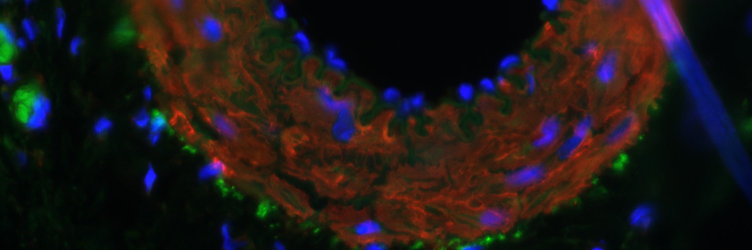 Bin Jiang, PhD banner