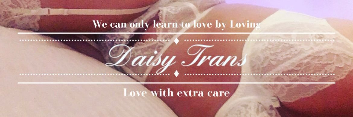𝐃𝐚𝐢𝐬𝐲 𝐓𝐫𝐚𝐧𝐬 banner