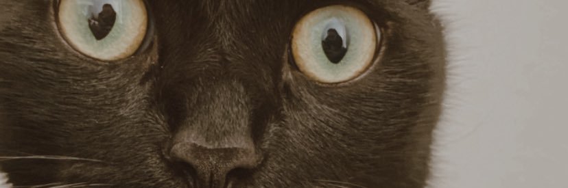 crdsbabi's profile banner image