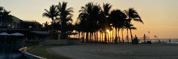 Sally_PEPE Profile Banner