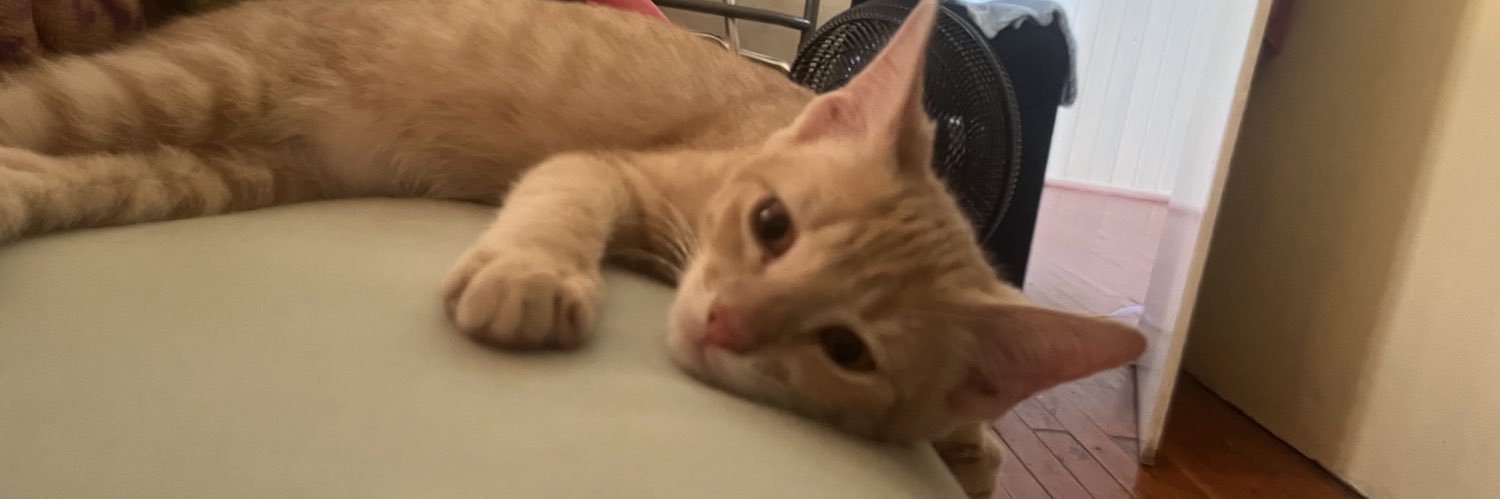alecasmiro's profile banner image