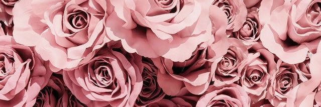 BriRayy's profile banner image