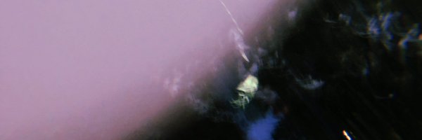 kkrm404 Profile Banner