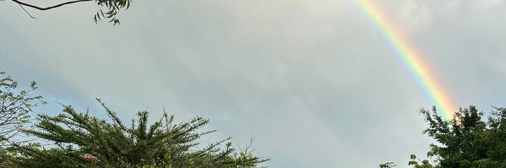 oyemanawa's profile banner image