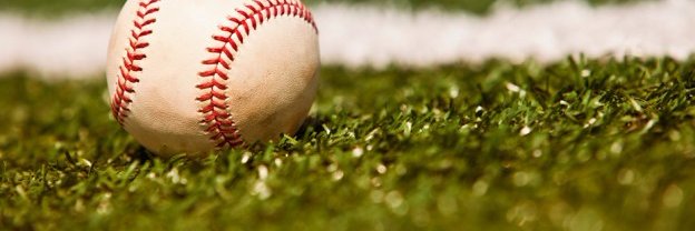 RokhedFantasySports banner