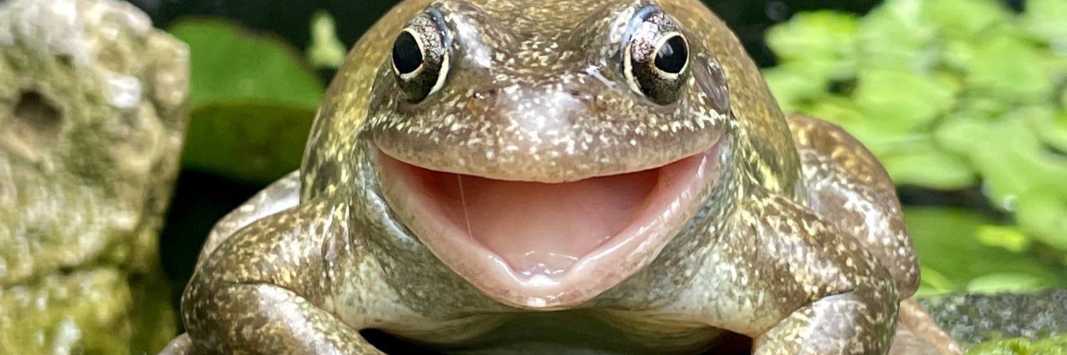 mousebybrambles's profile banner image