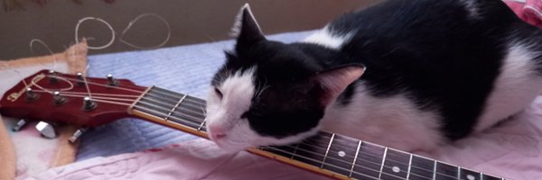 kmono423 Profile Banner