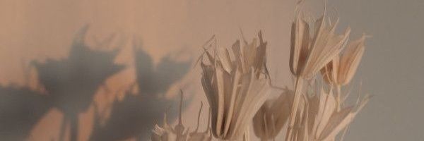 seungb0t69's profile banner image
