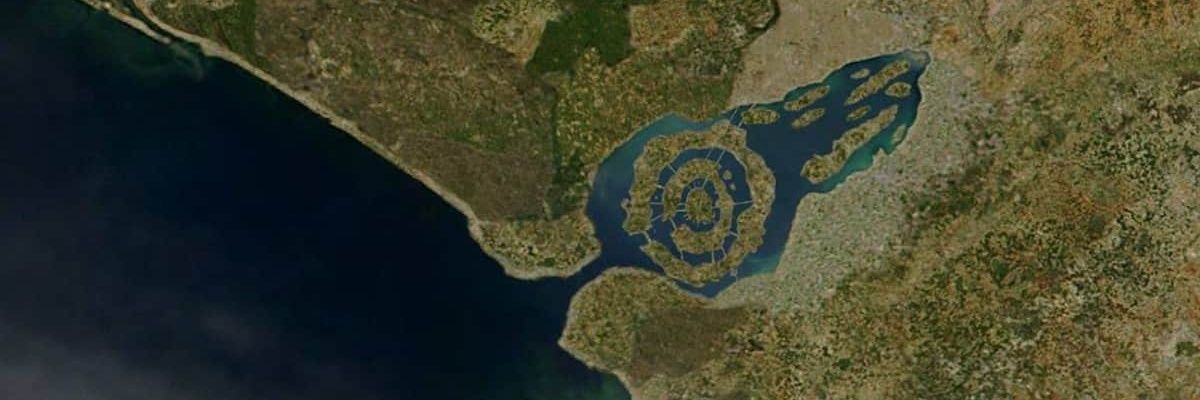 Bolsonanov's profile banner image