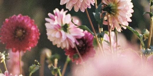 samsung83332's profile banner image