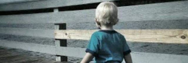 YoungWolf banner