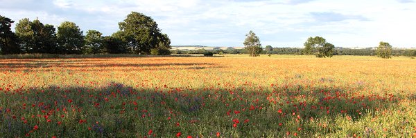 SOS_NKelsey Profile Banner