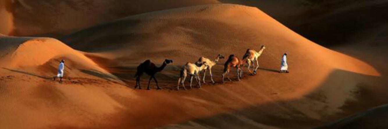 UAE5OO's profile banner image
