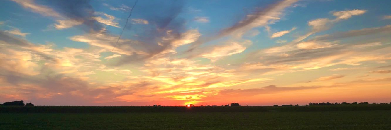 tpage211's profile banner image