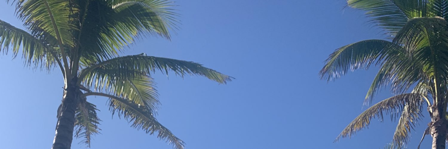 jessieeeebert's profile banner image