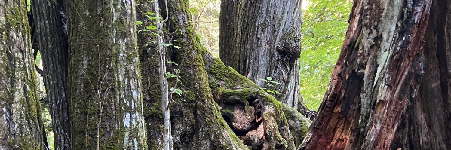 知らない人®︎ banner