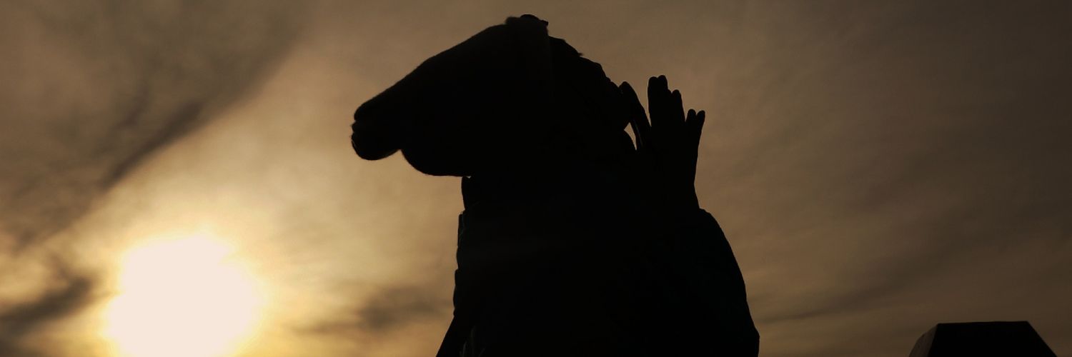 seawed09's profile banner image