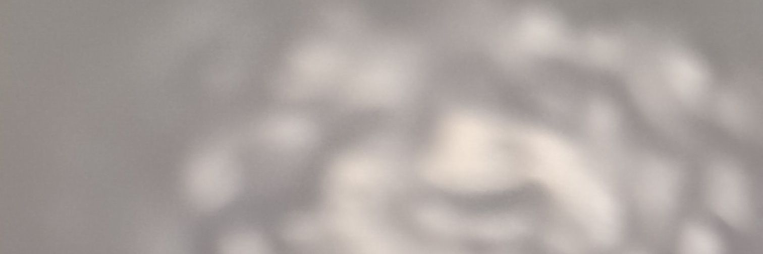 Michael Johnson banner