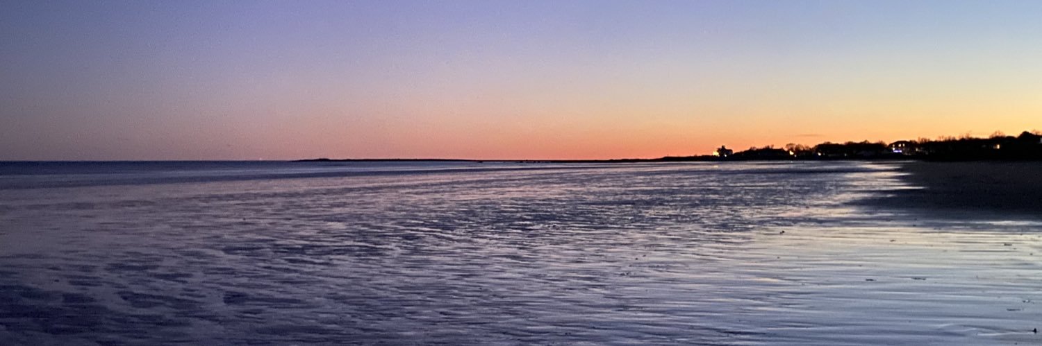 Tanisha Mitchell banner