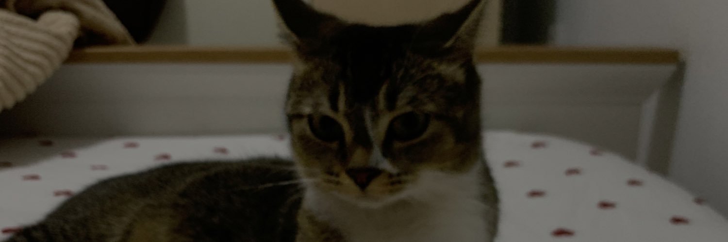 paulinemd2's profile banner image
