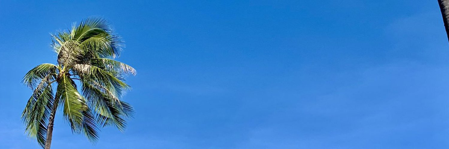 lowkeyokomo's profile banner image