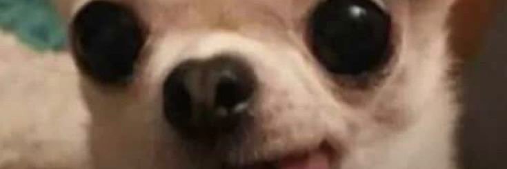 hagheetadd's profile banner image