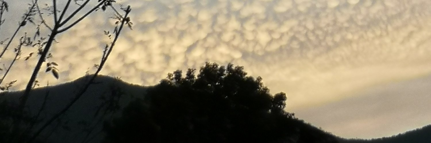 vcristanchos's profile banner image