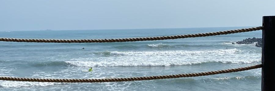ANALILIFLORES's profile banner image