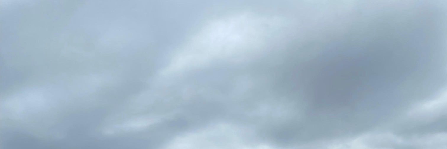renadys's profile banner image