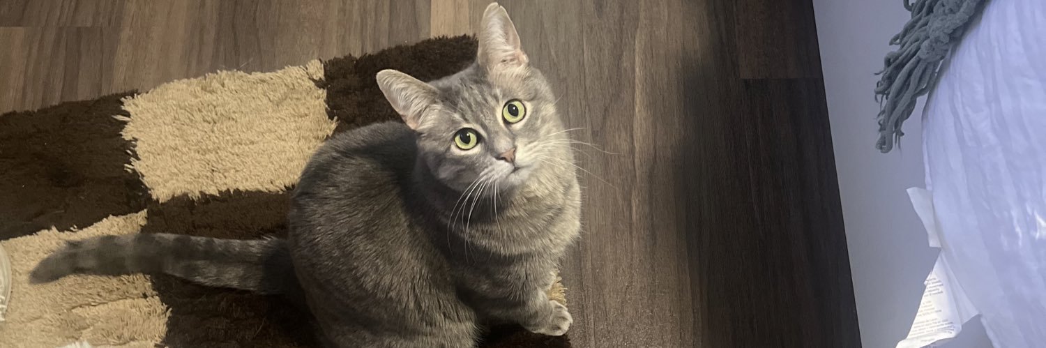morganlevyyy's profile banner image