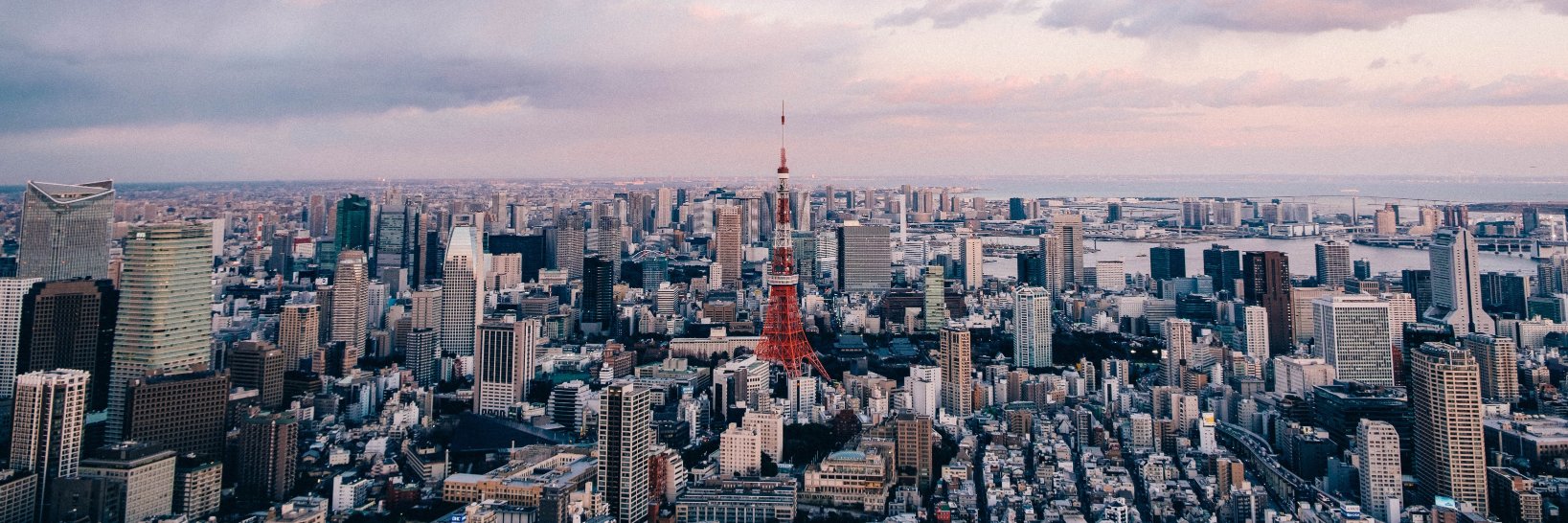 hashimoto_jpn's profile banner image