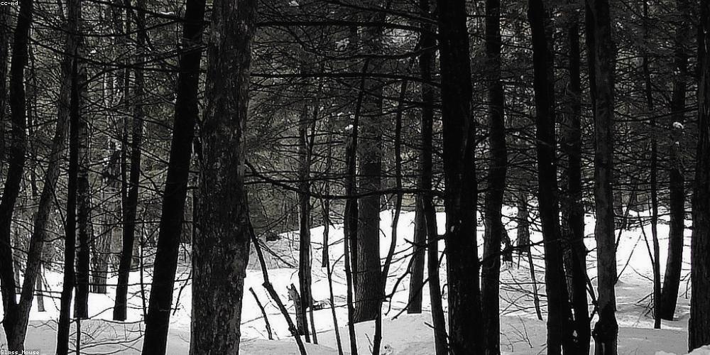 KiddRockStar_'s profile banner image