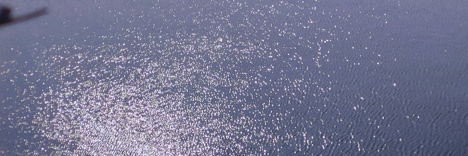 xiaofeifff's profile banner image
