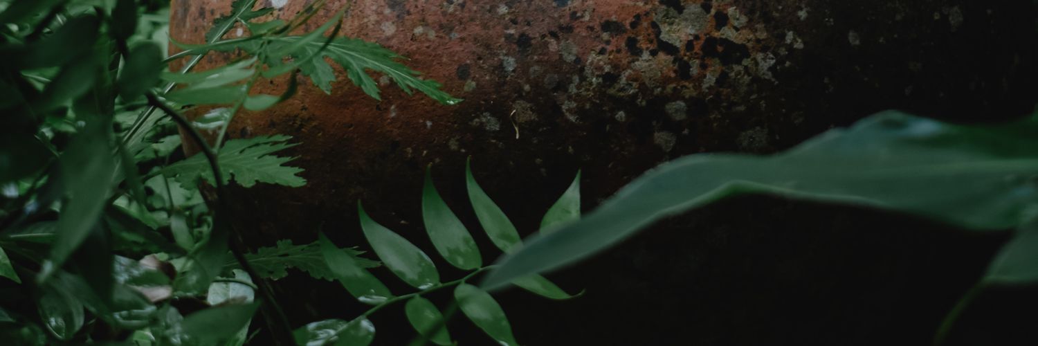 katemank3's profile banner image
