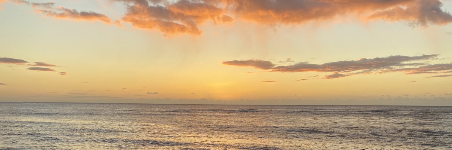 Danielle Poltz banner