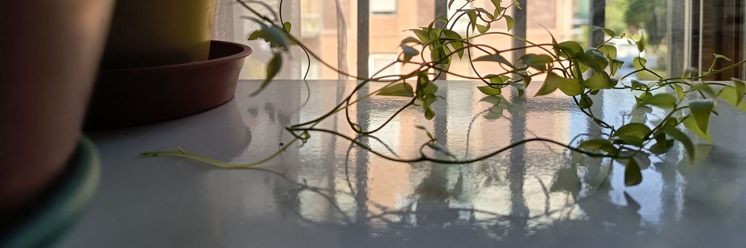 fcofariasm's profile banner image