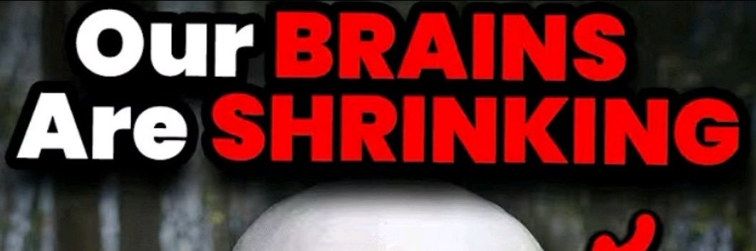 Sarah banner