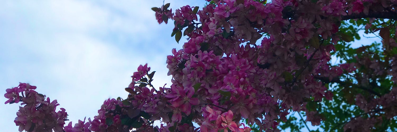 madeitsimple's profile banner image