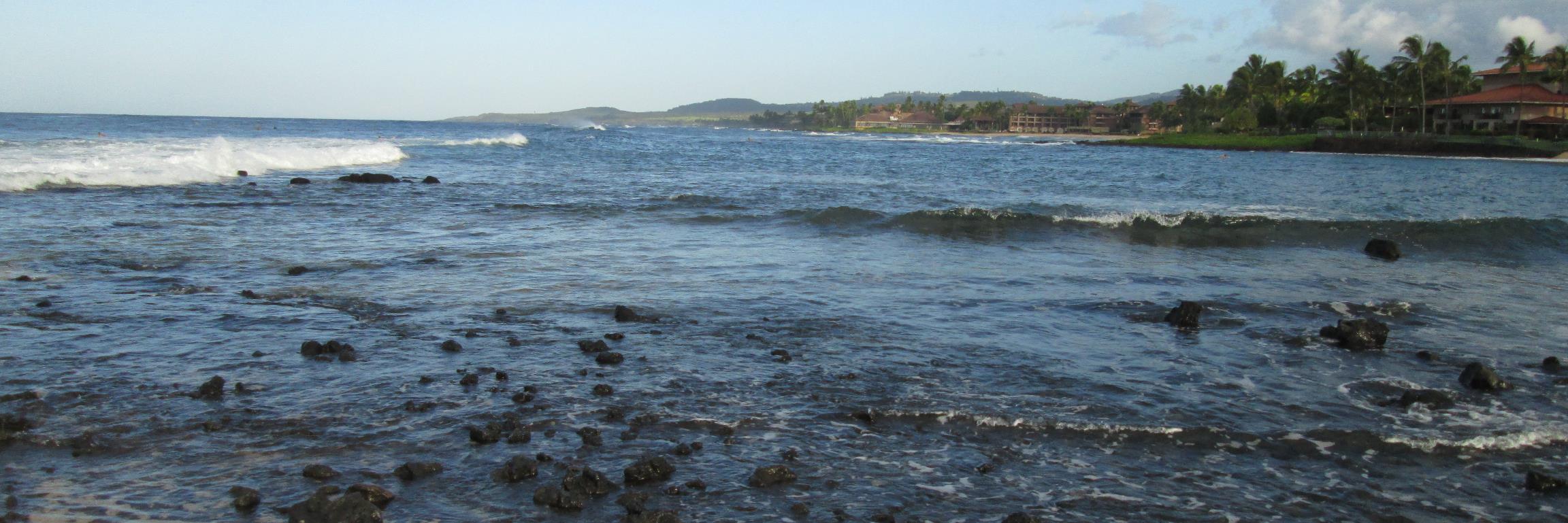 Super Bowl LX Champions!!! - Aaron Essman banner