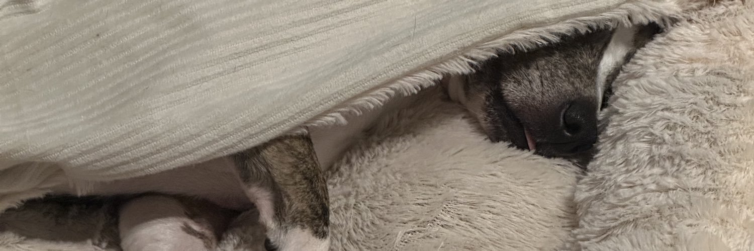 Zachve_'s profile banner image