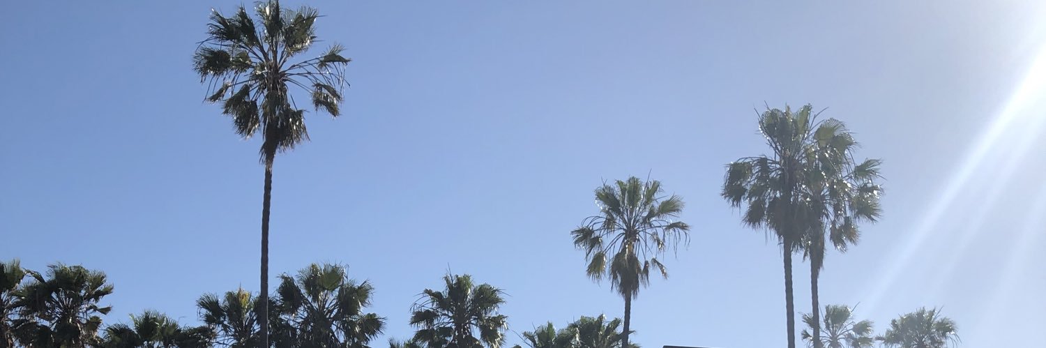 desslechuga's profile banner image
